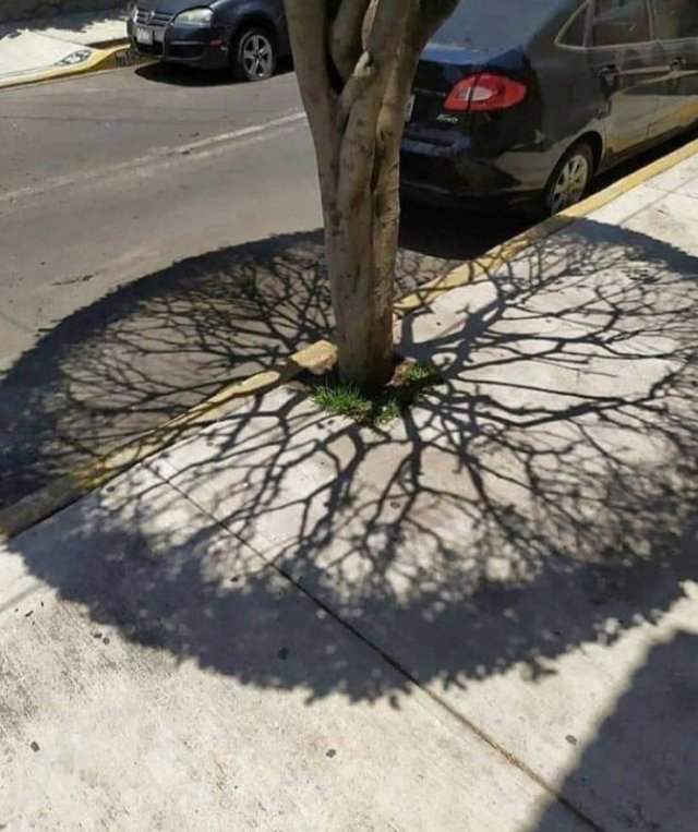 Amazing-4