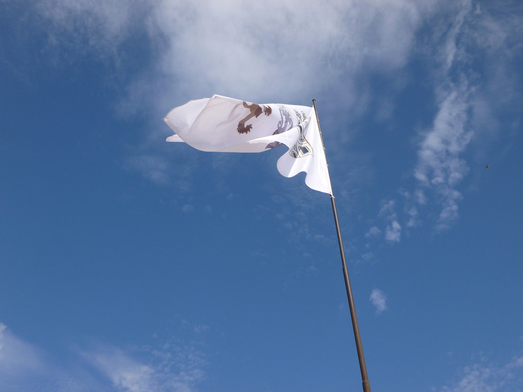 White flag fluttering in the breeze against a blue sky with clouds.  There is a heraldic lion in black on the flag.