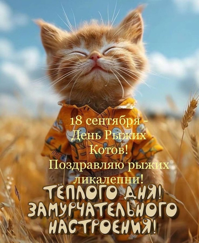 KGuQ9WIjvD5-YT8WUOIwhRRQPezRQAG6FJeIjwjUVoelVlrr9CsFbs2TFCQtGP5eC8gp6cHC0pbdH5f0nE5qhniI