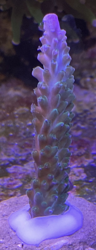 D97F9326-EAB8-4A1B-8DF2-771E1726BB93