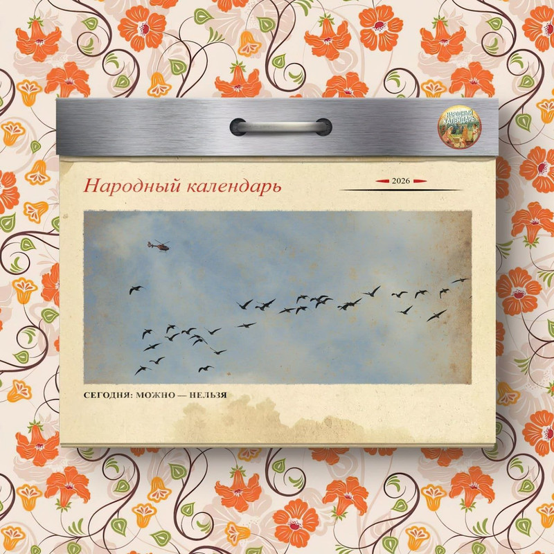 [Изображение: photo-2026-03-22-08-54-18.jpg]