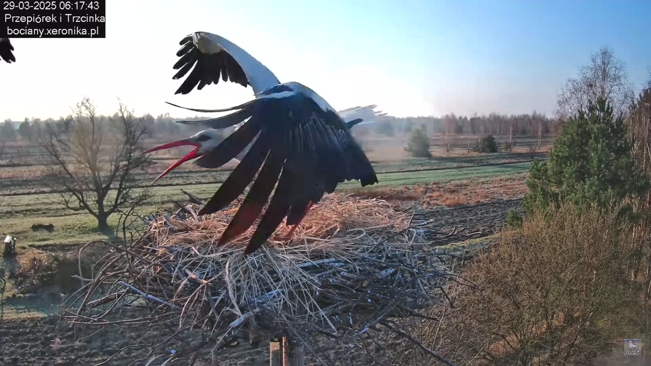 29032025porannezamieszanie_29