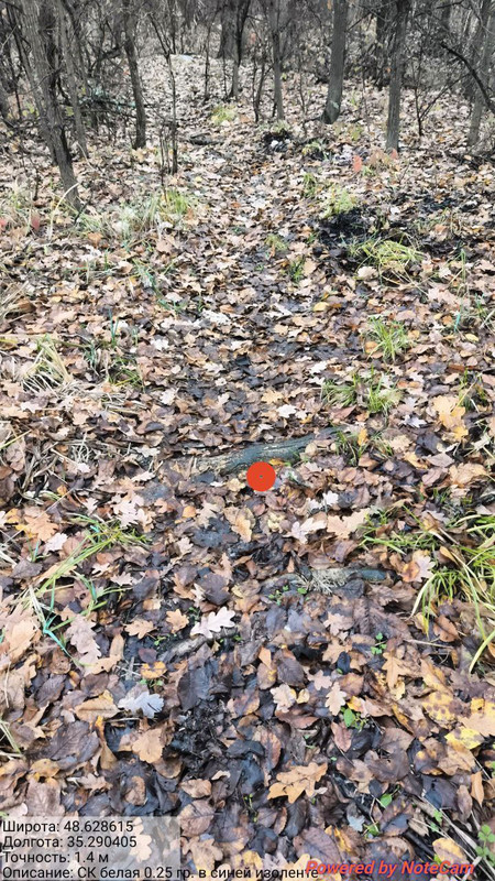 photo 6 2025 11 11 10 54 54