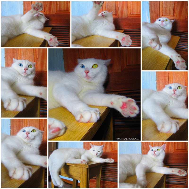 белоснежка 1640-2 - 07