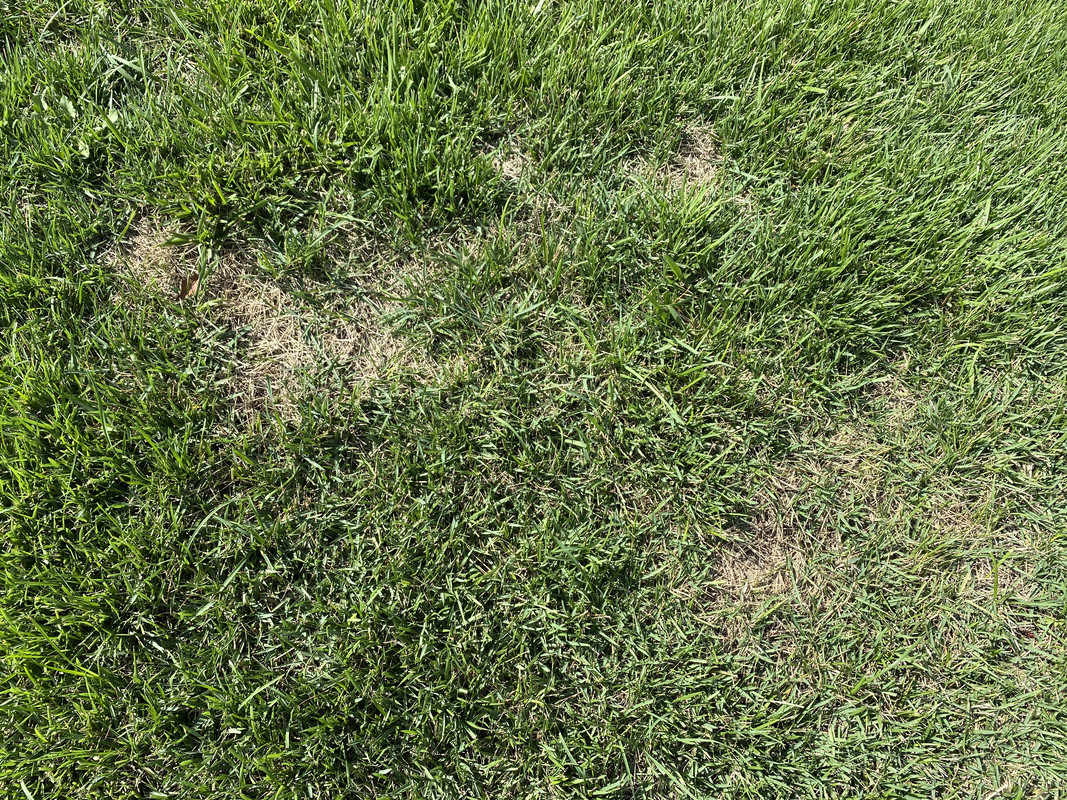 6BF7EC30-1D86-4423-A0B2-42F1684FEE7E