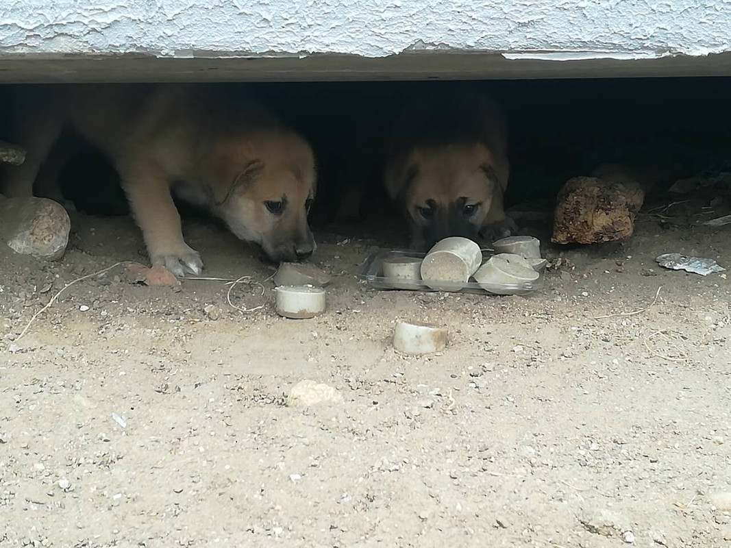 IMG_0356-27-10-18-02-44