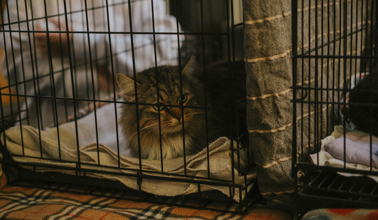 DA9E2862-DAB6-411E-9C80-9D0E821DEB70