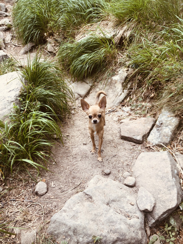 19A00DC7-627F-47E8-B91F-F00E347B0934