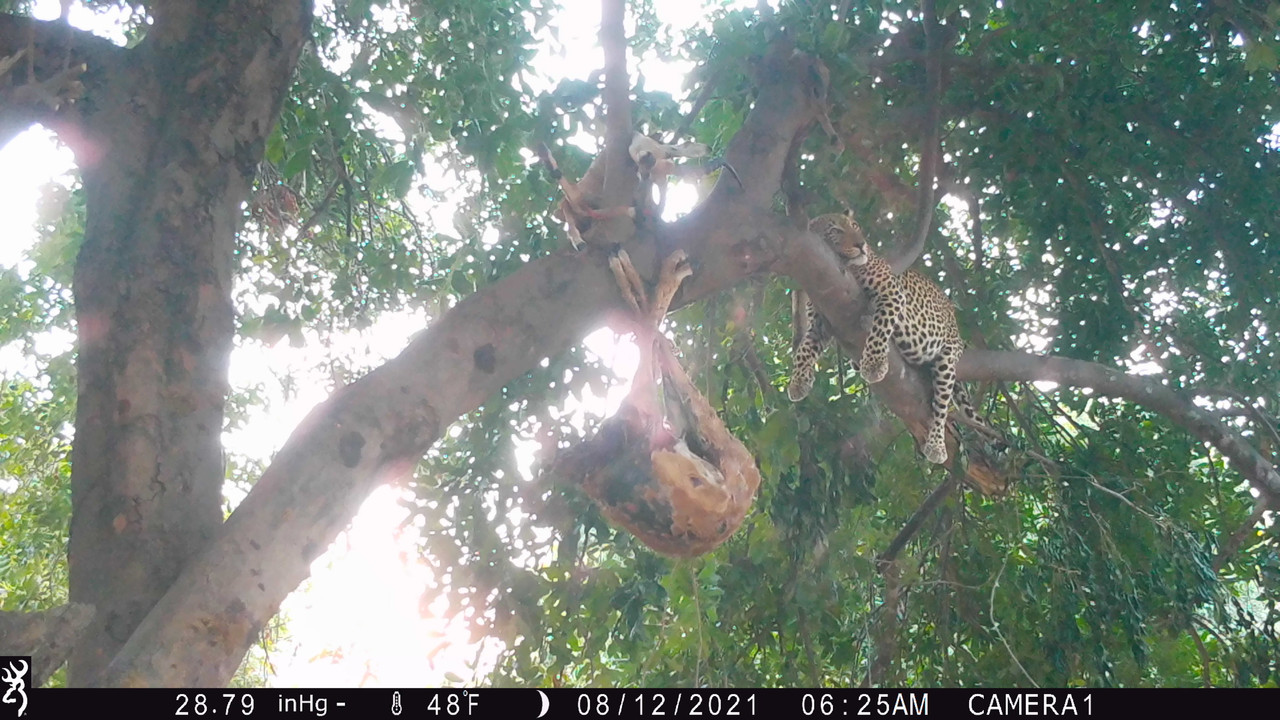 61CDF2AC-A0CA-4405-9BFD-9DCC21FCC363