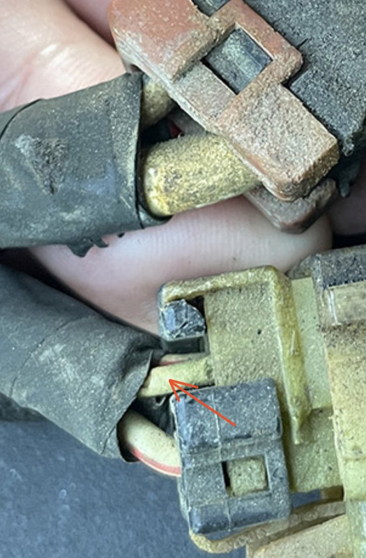 E0B22D56-65C6-4C49-B92E-01C9BB068EAF