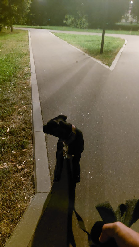 B5ED4845-FEE4-456F-9889-81D75C5631EA