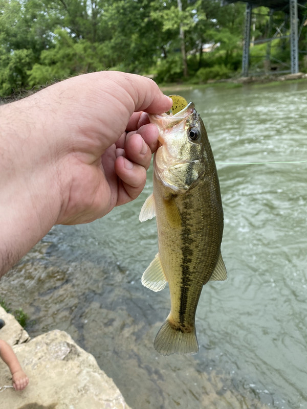 IMG_4005.jpg