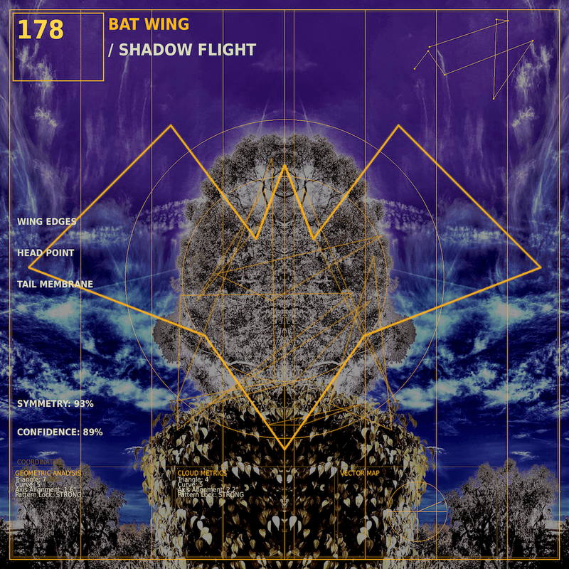 Bat wing