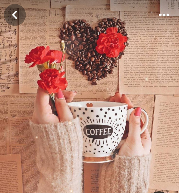 Screenshot_20240428_171702_Pinterest