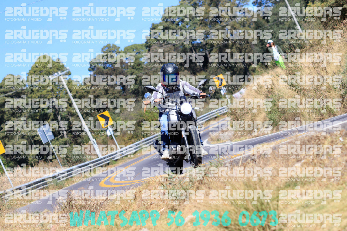 MG 0539 — Postimages