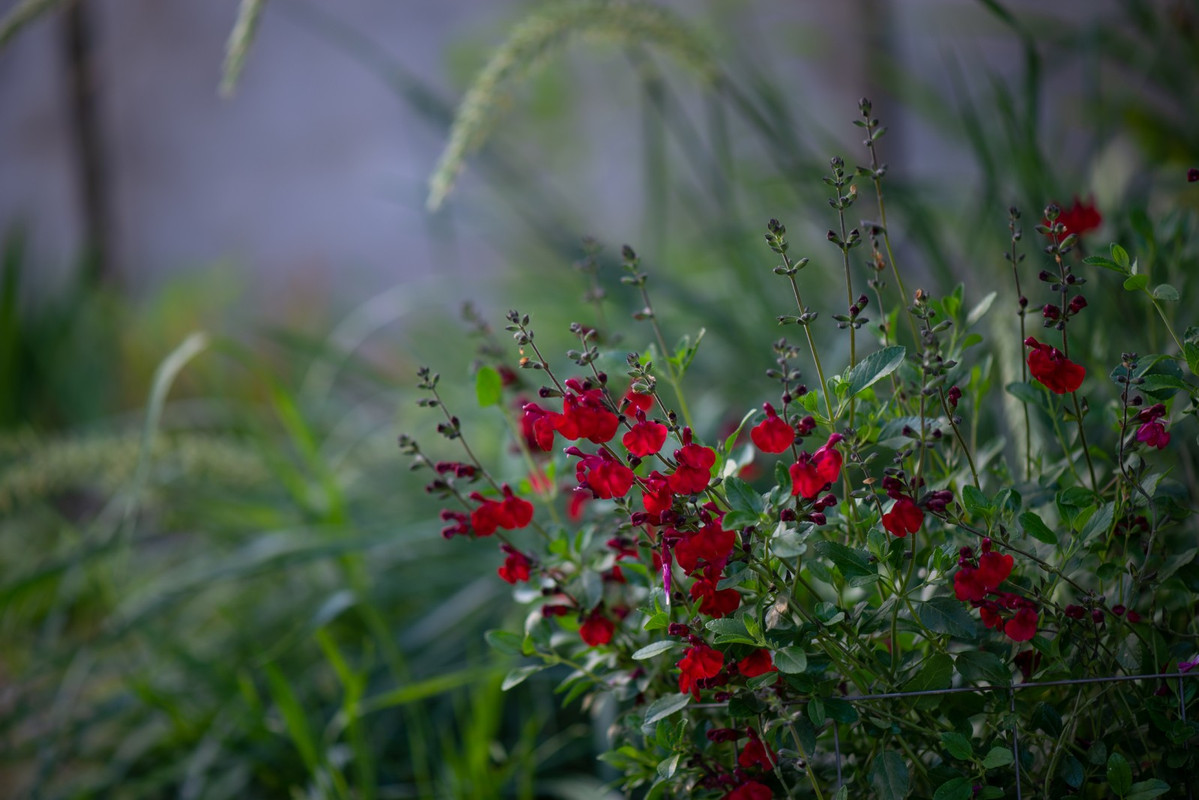 IMG-5b046535f41328e4e88e632b5e0696f5-V