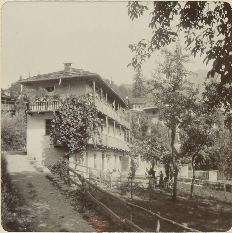 04-Vi.jpg