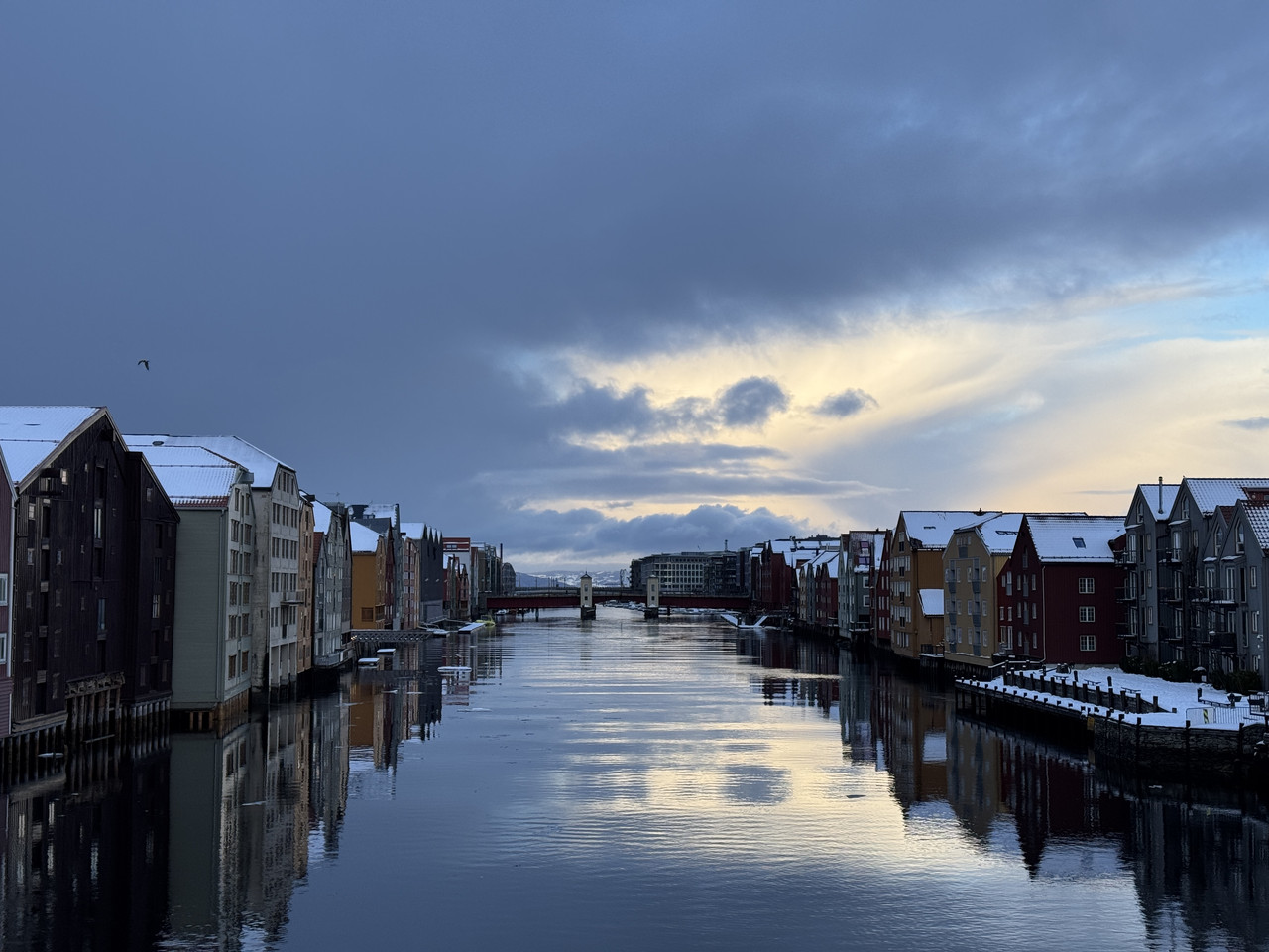 [Immagine: IMG-9308.jpg]