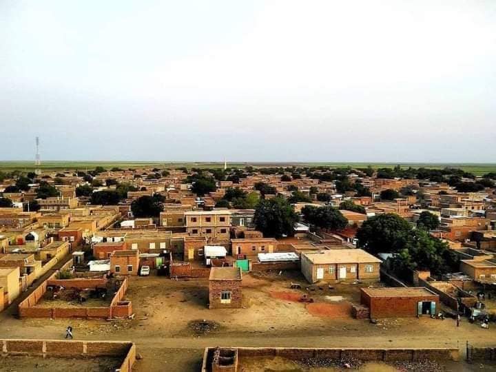 صورة لحقول قصب السكر في القرية