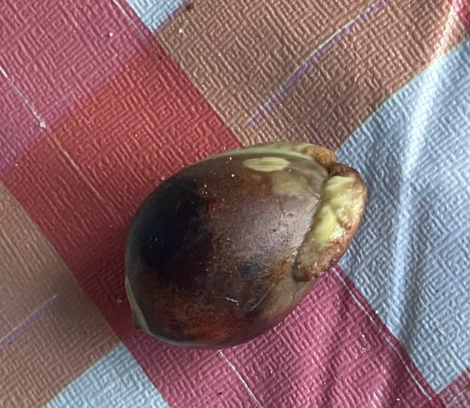 E85FAADC-A49E-4683-9711-4F7DDBDFBB74