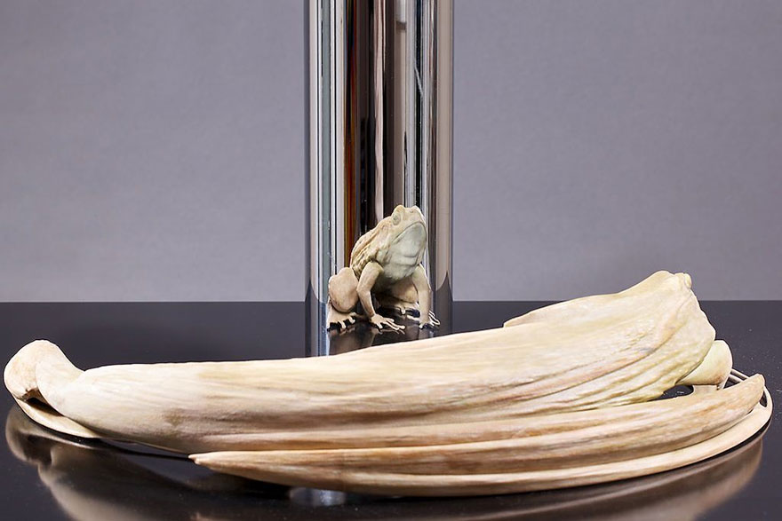 anamorphic-cylinder-perspective-art-21