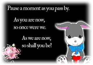 To my Magic Fountain of Memories!