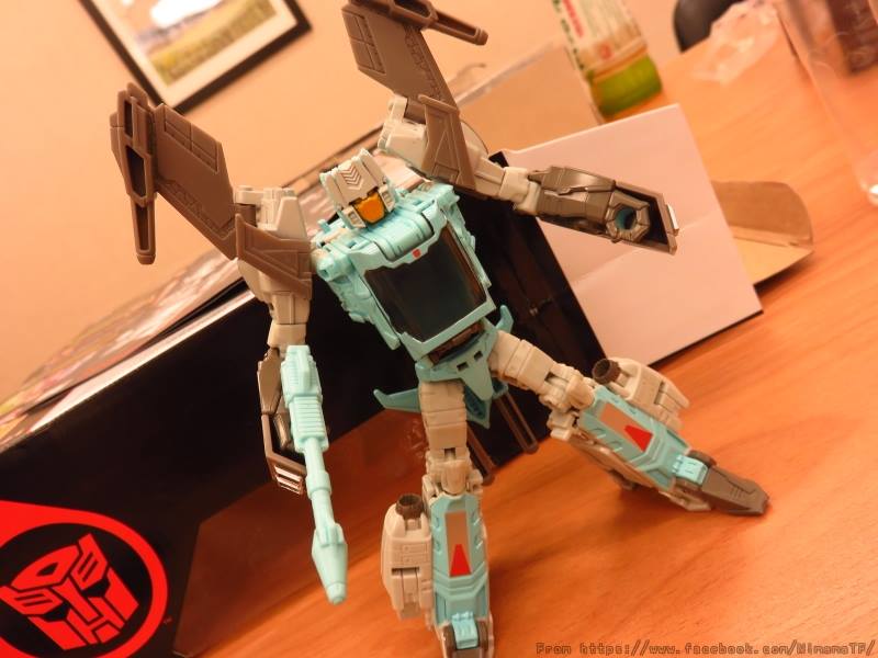 13312753_272535826430185_8512281044945019525_n