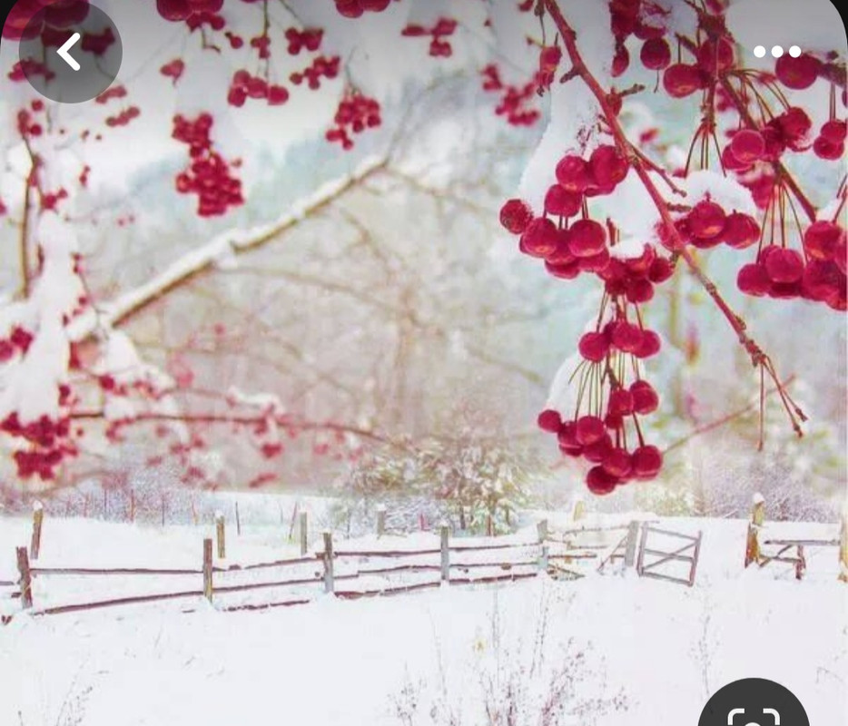 Screenshot_20240125_121027_Pinterest