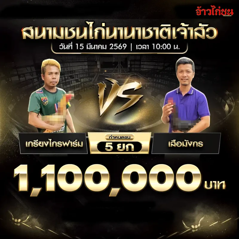 โปรแกรมไก่ชน คู่ เกรียงไกรฟาร์ม พบ เสือมังกร สนามชนไก่นานาชาติเจ้าสัว 15 มีนาคม 2569