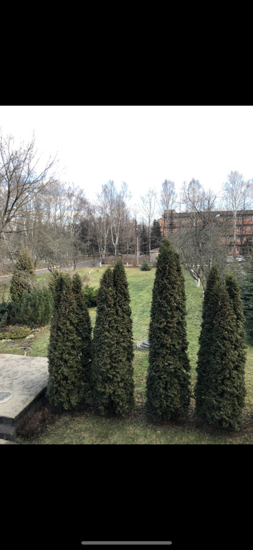 8D1E632A-1D67-4389-A801-827658D0A726