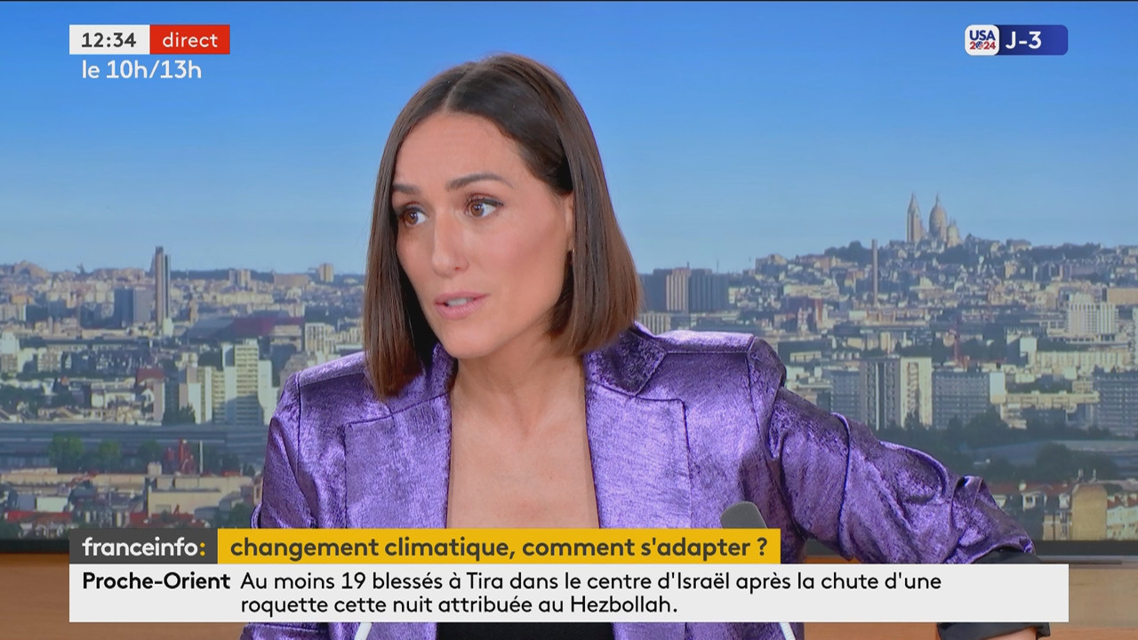 Le 10h-13h 2ème partie (Franceinfo)_2024_11_02_10_50_91.ts_snapshot_00.45.07.539