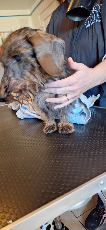 [Image: 20250305-142947.jpg]