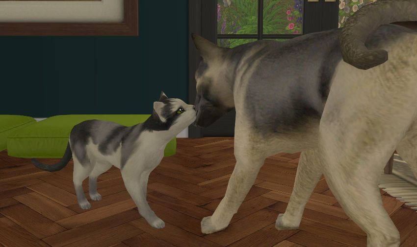 Sims2-EP9-2021-01-25-19-30-29-75