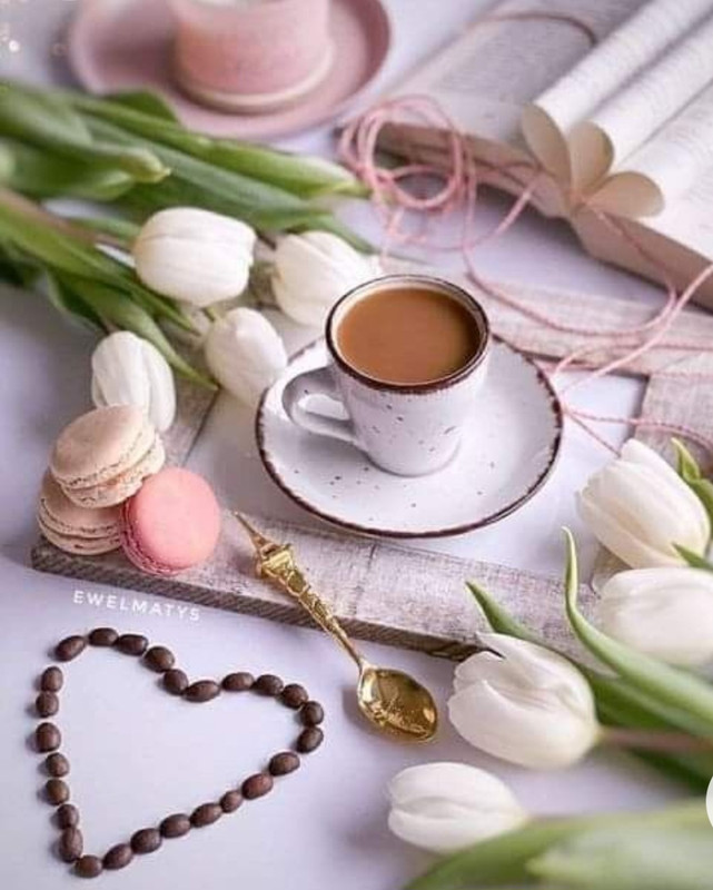 Screenshot_20230124_003256_Chrome