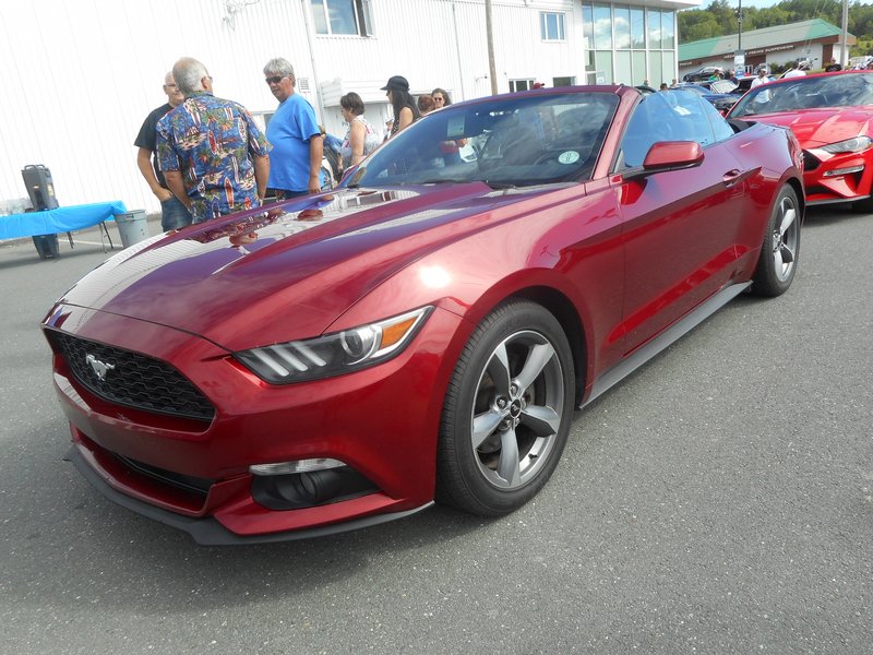 Rendez-Vous Mustang Cliche Auto Ford - 14 août 2022 Cliche2022-61