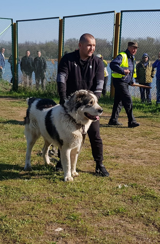 74259C56-2BF9-4DBA-8E0C-72265E350FD4