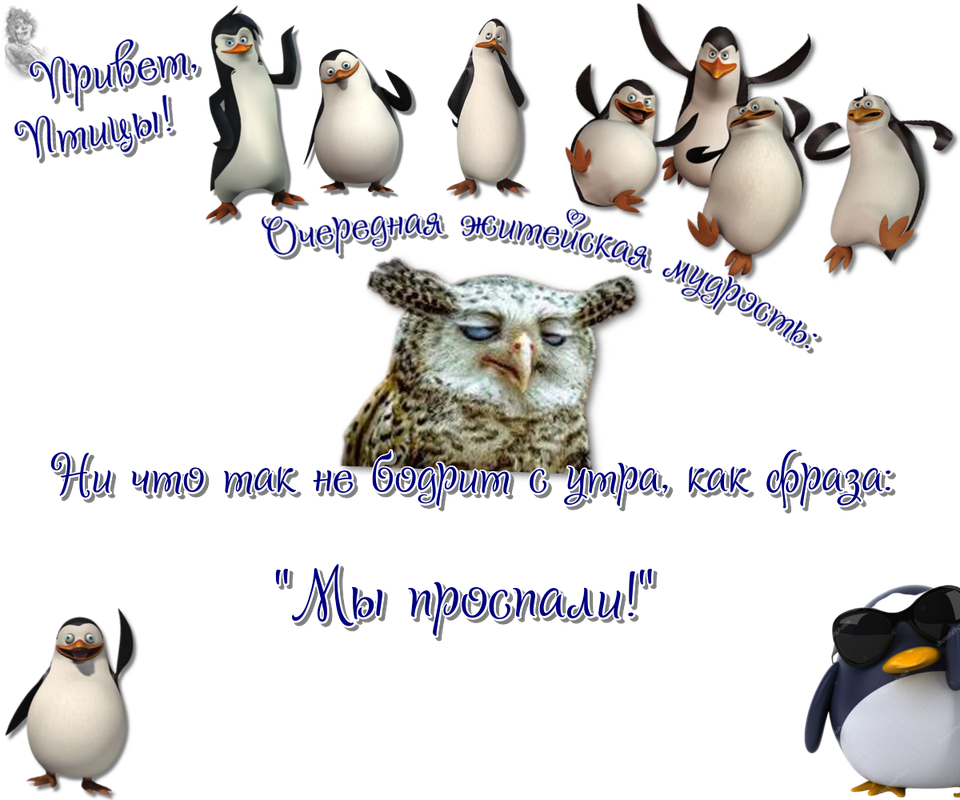 https://i.postimg.cc/wjdvRXnh/05-04.png