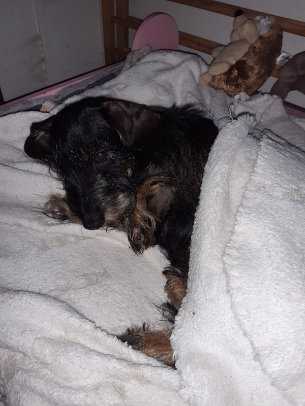 [Image: 20231204-065143.jpg]