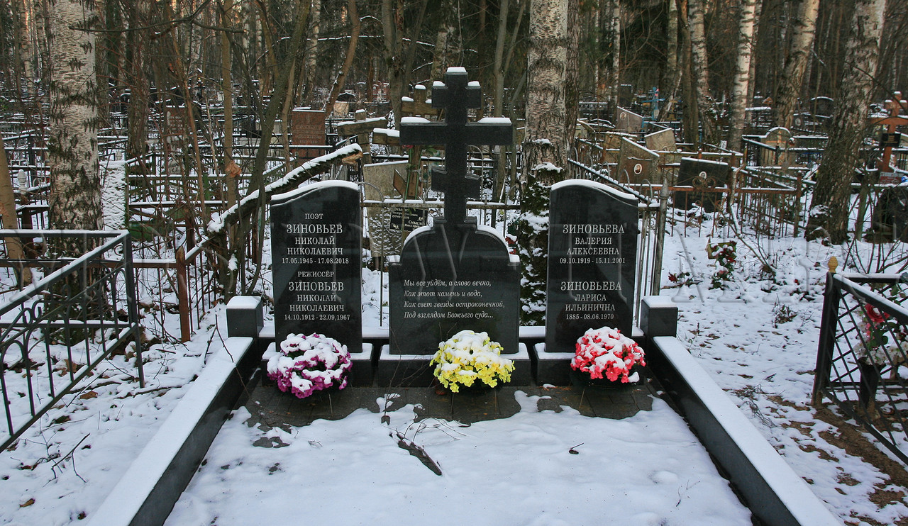 zinovyev-nn