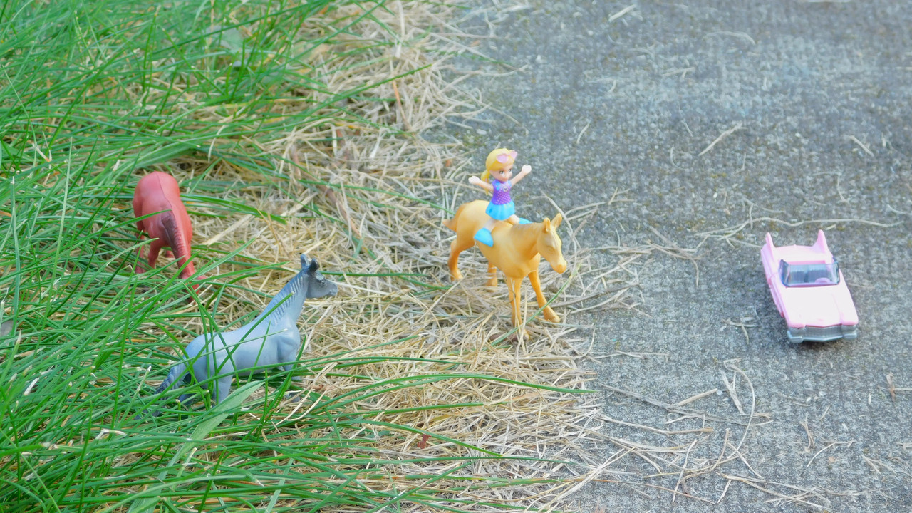 сентябрь дачно-миниатюр 2025 122