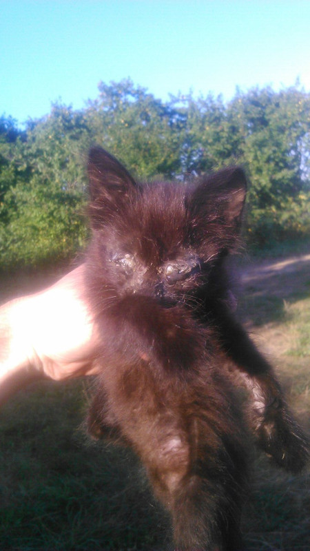 CB8DB3CA-C63C-4D88-B7A6-03C1A9844A4B