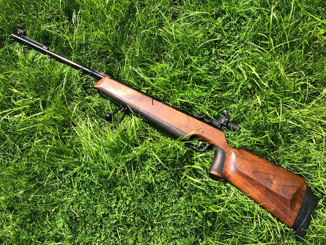 Anschutz-250-oiled-03