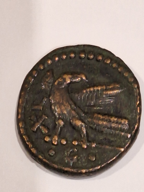 0-02-05-7f56d4bbe1f35618fa27c4896467c2af69668e842a104d6131b0c7760c563529_e1bd6719