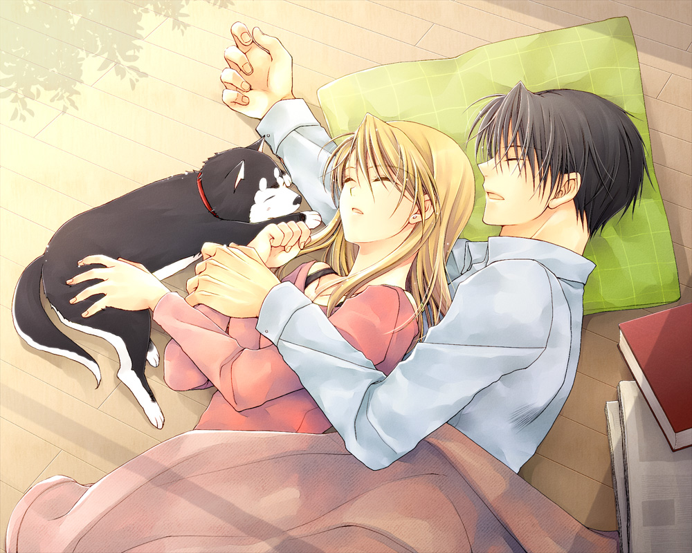 riza-hawkeye-and-roy-mustang-fullmetal-alchemist-drawn-by-taka