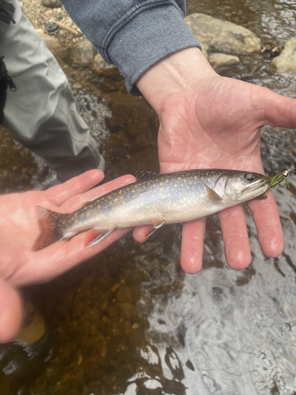 4CFB96B8-BD7E-4F49-A756-01857912ECC6