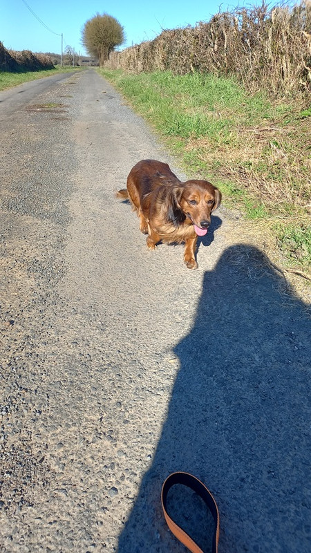 [Image: 20250204-135106.jpg]