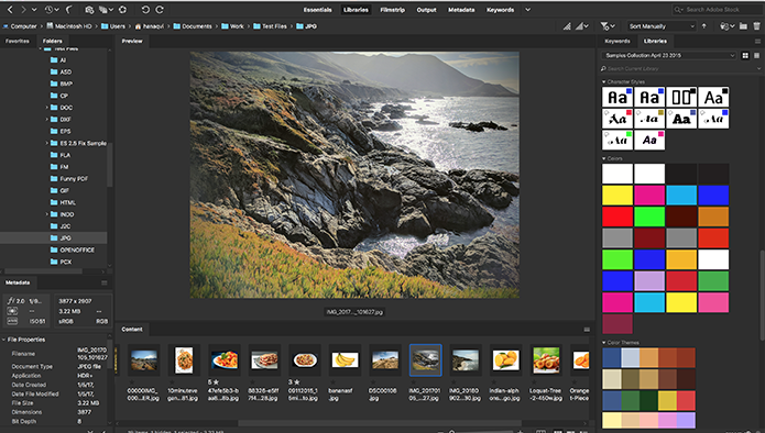 Adobe Bridge 2025