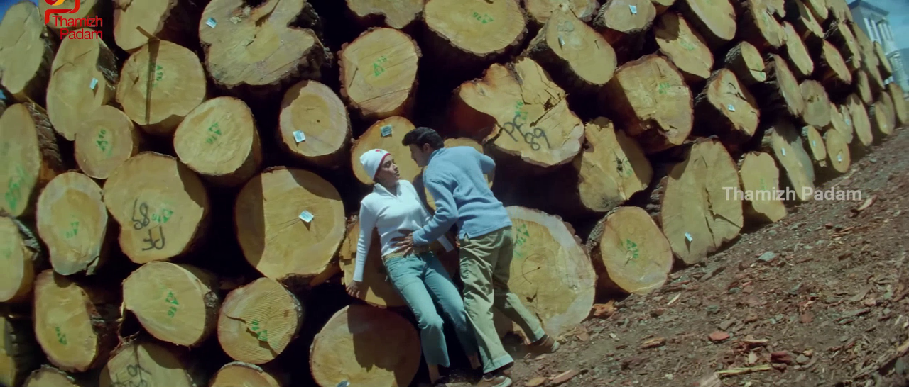 vlcsnap-2025-09-30-17h39m50s526