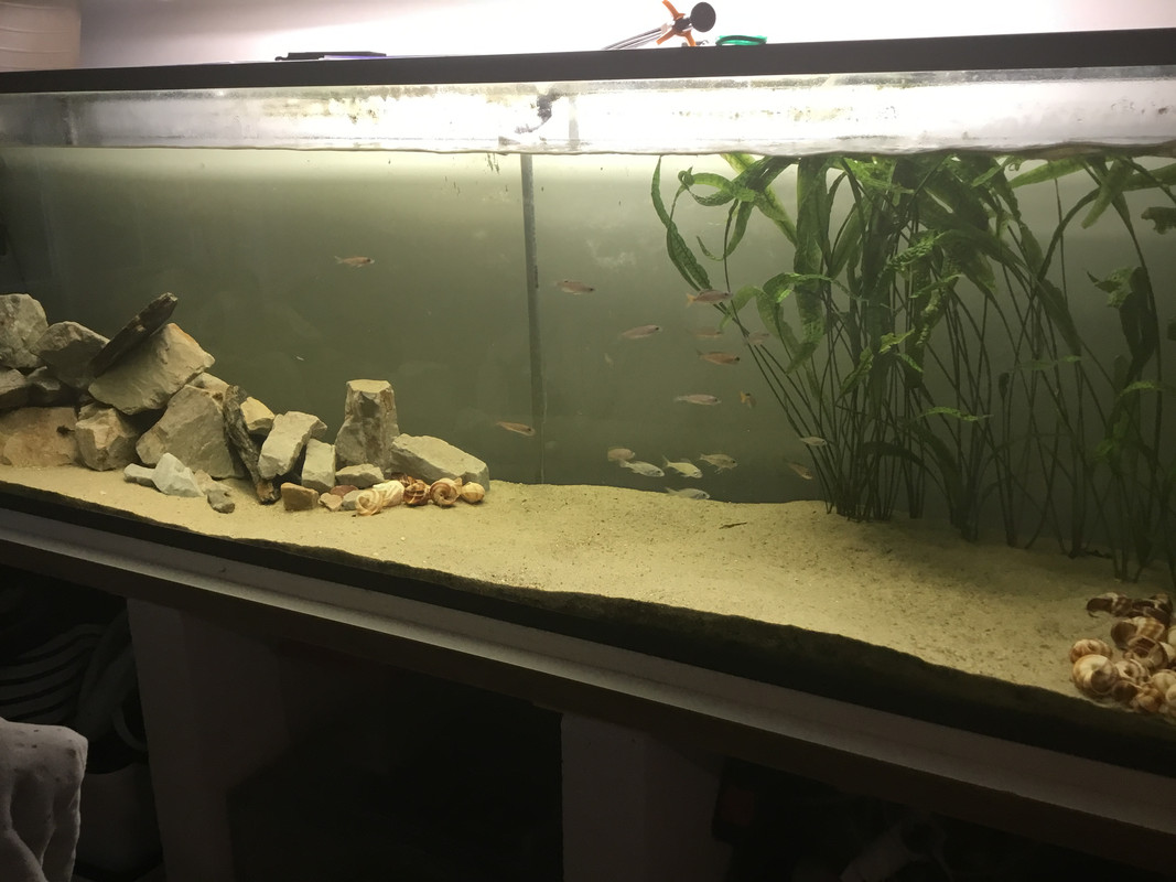 2B46FD31-E7B8-4567-8BF9-BA8FE570B614