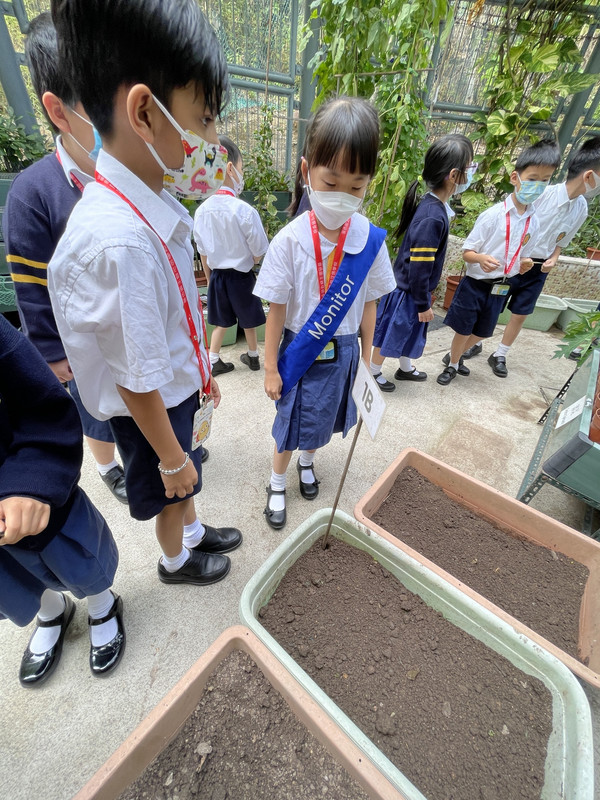 photo-littlefarmer2223-1B-012